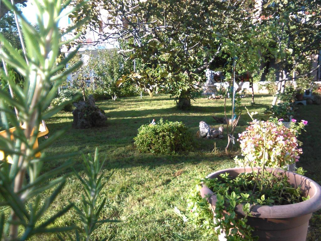 Apartments Lana สตารีกราด-ปาเคลนีซา ภายนอก รูปภาพ